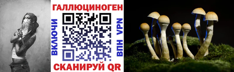 Псилоцибиновые грибы MAGIC MUSHROOMS Бирюсинск