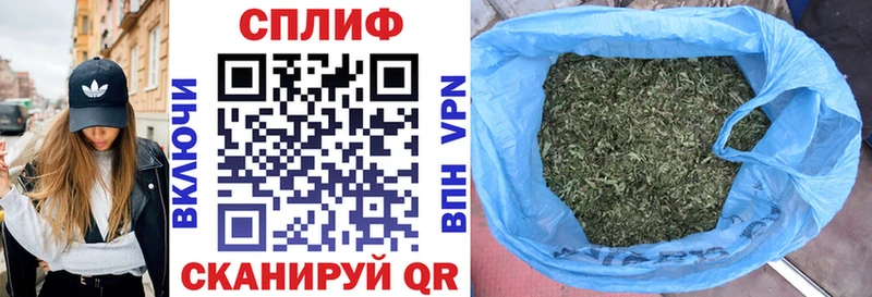 где купить наркоту  Бирюсинск  кракен как зайти  Конопля Amnesia 